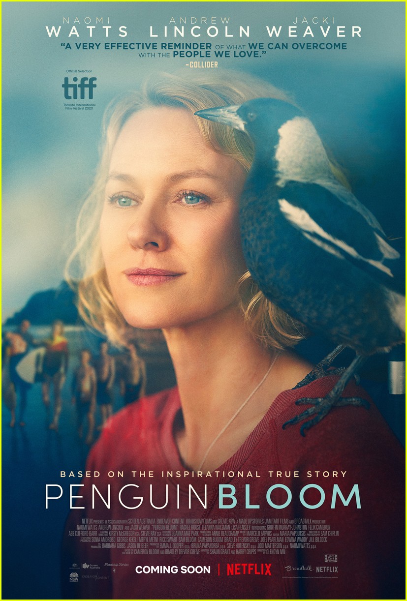Netflix Movie 'Penguin Bloom' Isn't Actually About Penguins Learn