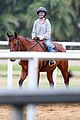 natalie portman takes horseback riding lesson in sydney 10