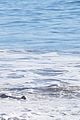 sigourney weaver jim simpson rare beach day malibu 41