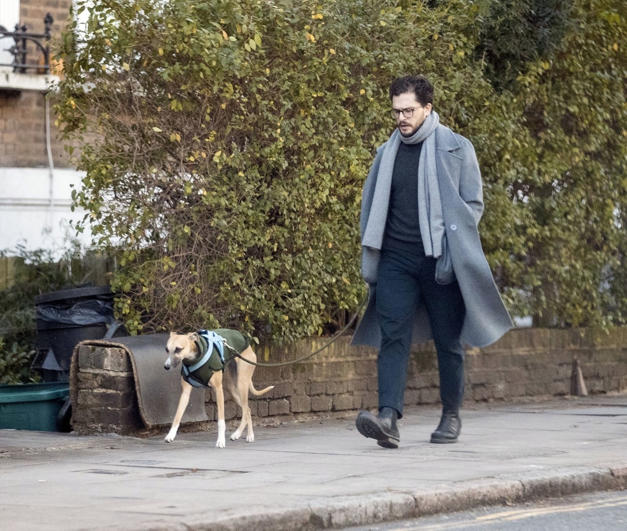 Kit Harington Walks His Whippet Dog Around London After Birth Of Son Photo 4527561 Kit