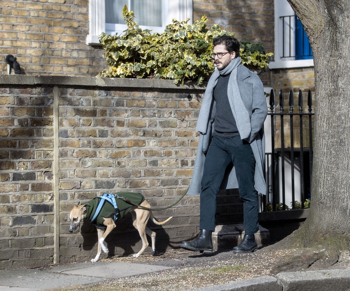 Kit Harington Walks His Whippet Dog Around London After Birth Of Son