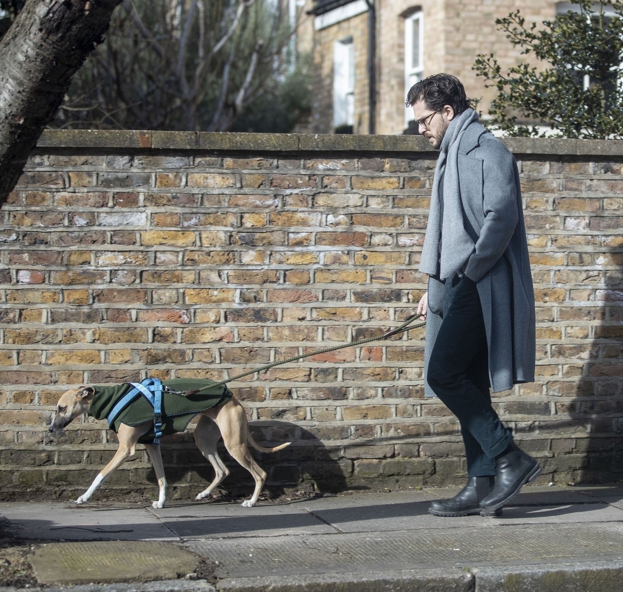 Kit Harington Walks His Whippet Dog Around London After Birth Of Son