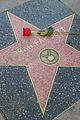 ryan oneal star on hollywood walk of fame 04