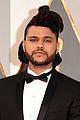 the weeknd stock photos 09