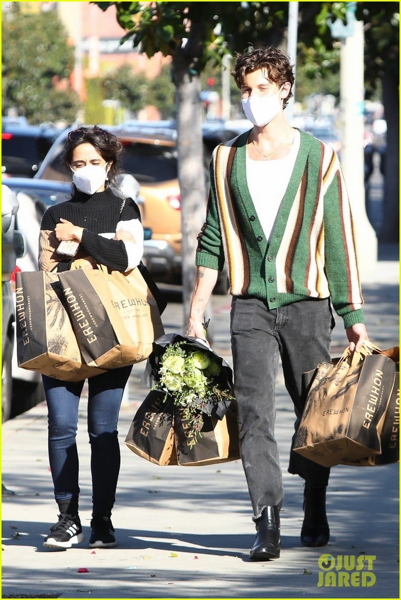 Shawn Mendes & Camila Cabello Couple Up to Do Some Grocery Shopping