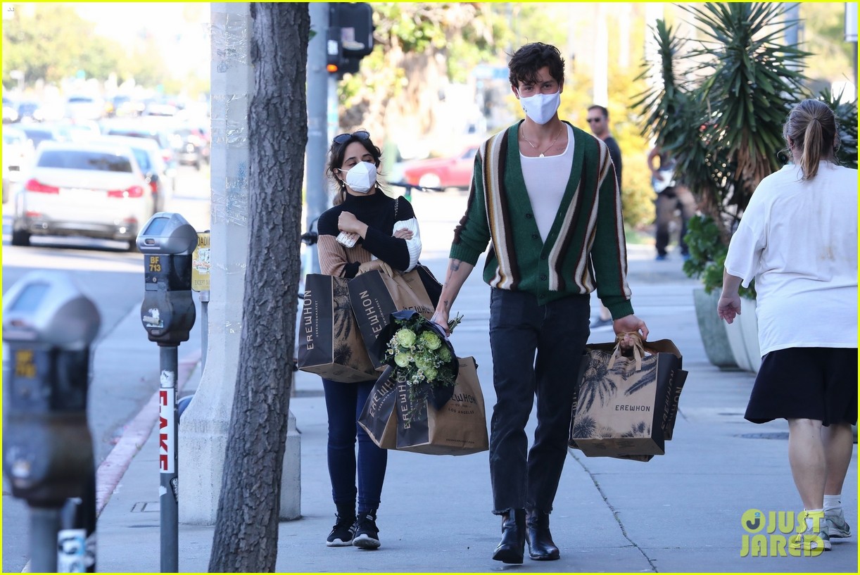 Shawn Mendes & Camila Cabello Couple Up to Do Some Grocery Shopping