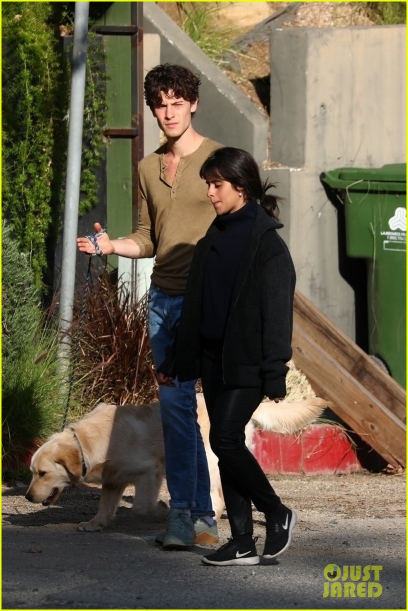 Shawn Mendes & Camila Cabello Share a Kiss While Walking Their Dog