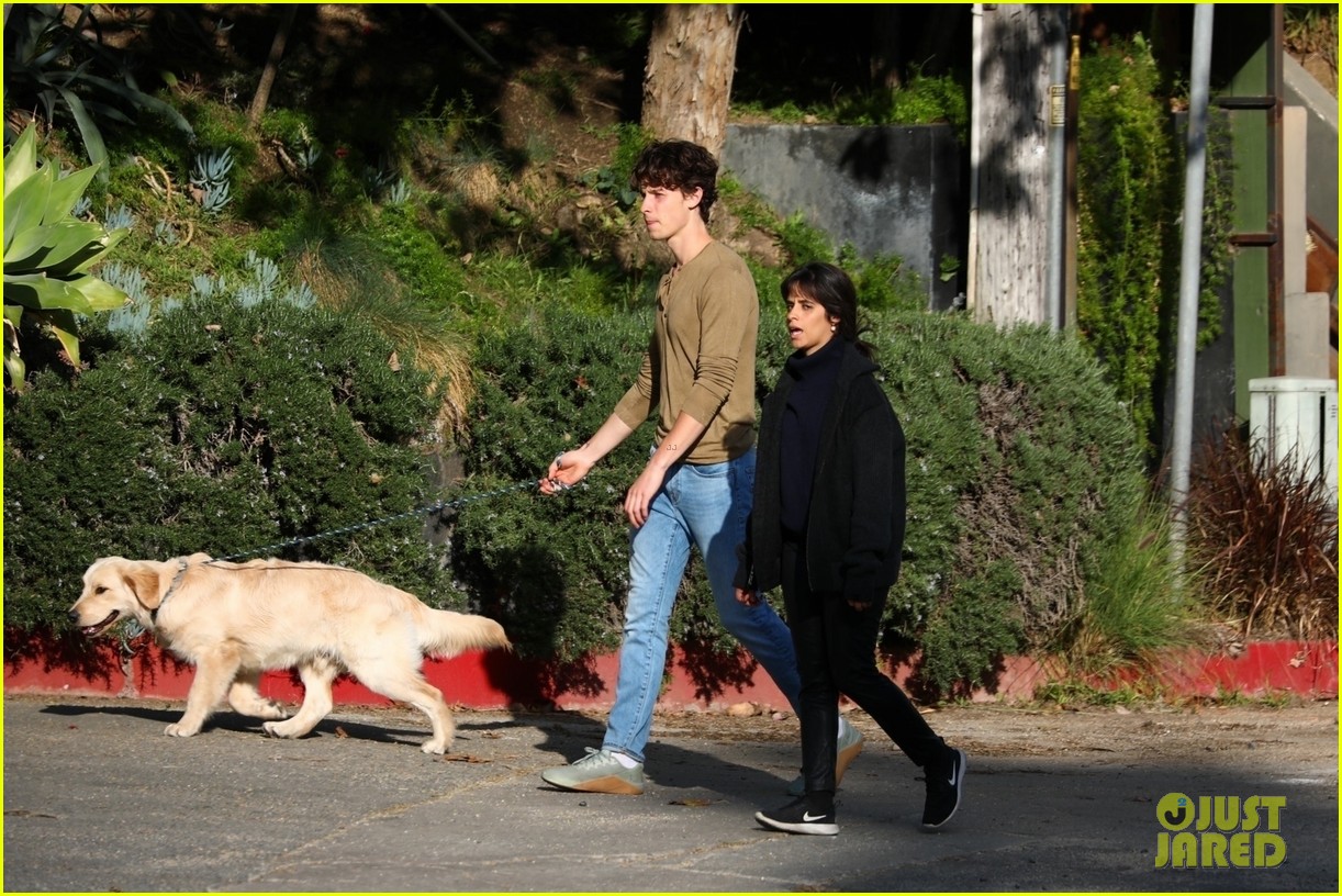 Shawn Mendes & Camila Cabello Share a Kiss While Walking Their Dog