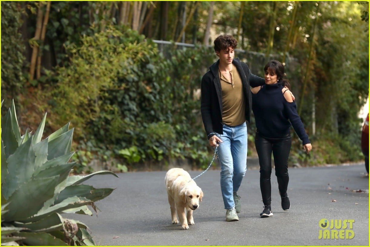 Shawn Mendes & Camila Cabello Share a Kiss While Walking Their Dog