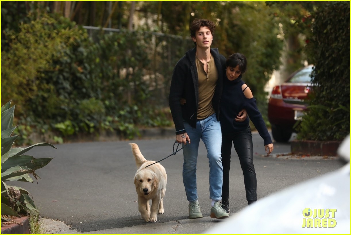 Shawn Mendes & Camila Cabello Share a Kiss While Walking Their Dog