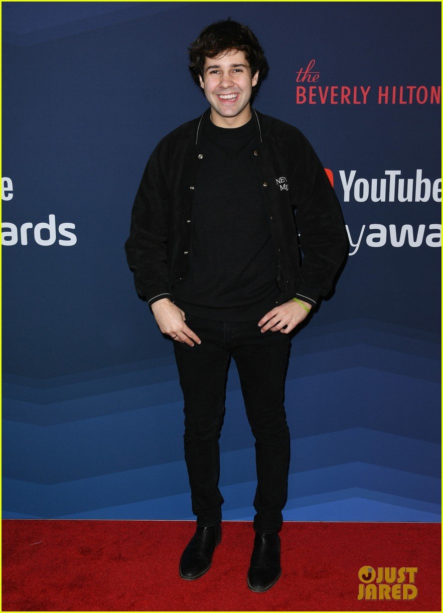 How Much Is David Dobrik Worth? Net Worth Revealed Photo 4546259 Photos Just Jared