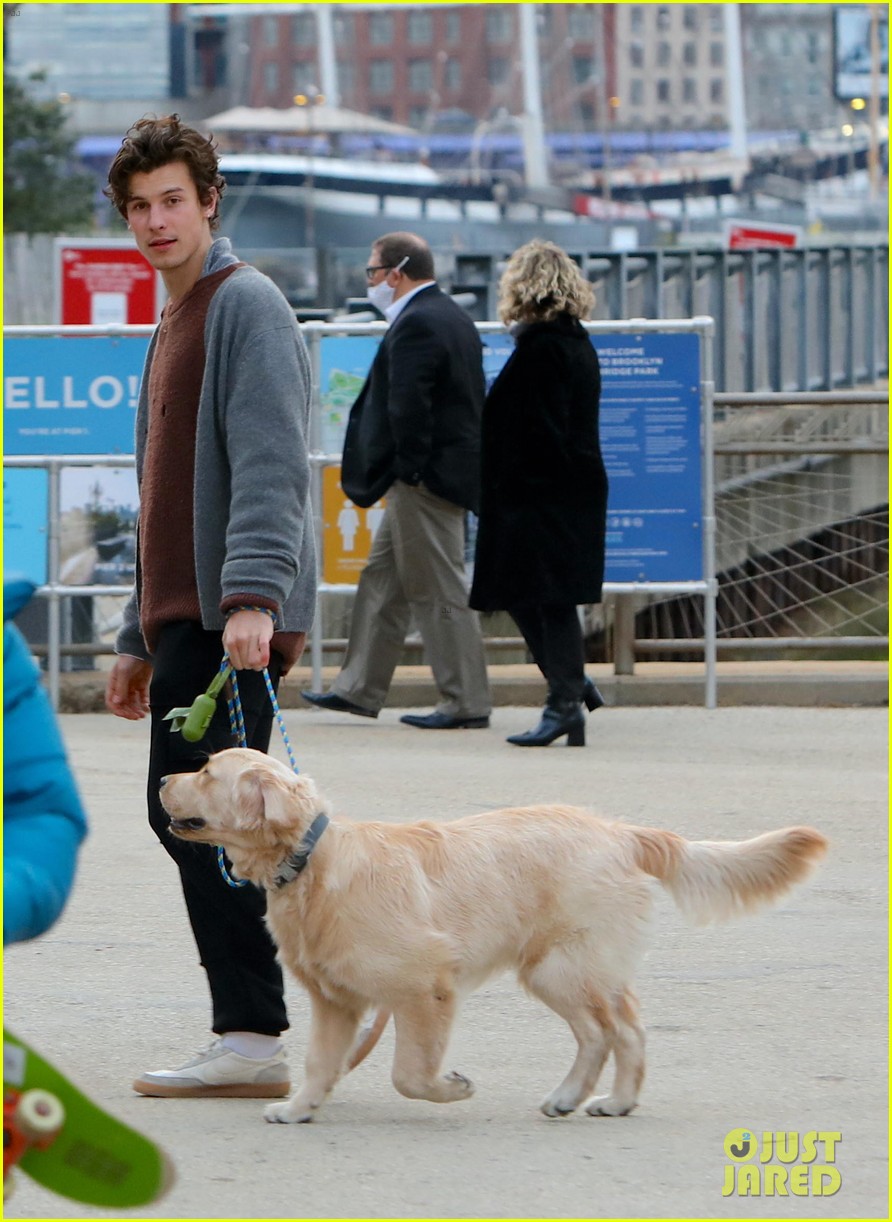 Shawn Mendes Takes His Dog Tarzan For a Walk in NYC Photo 4548829