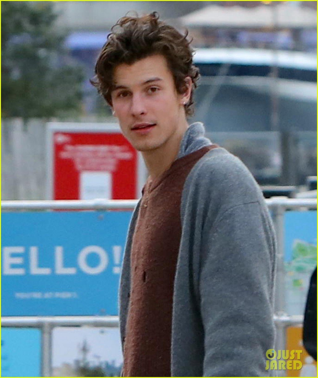 Shawn Mendes Takes His Dog Tarzan For a Walk in NYC Photo 4548832