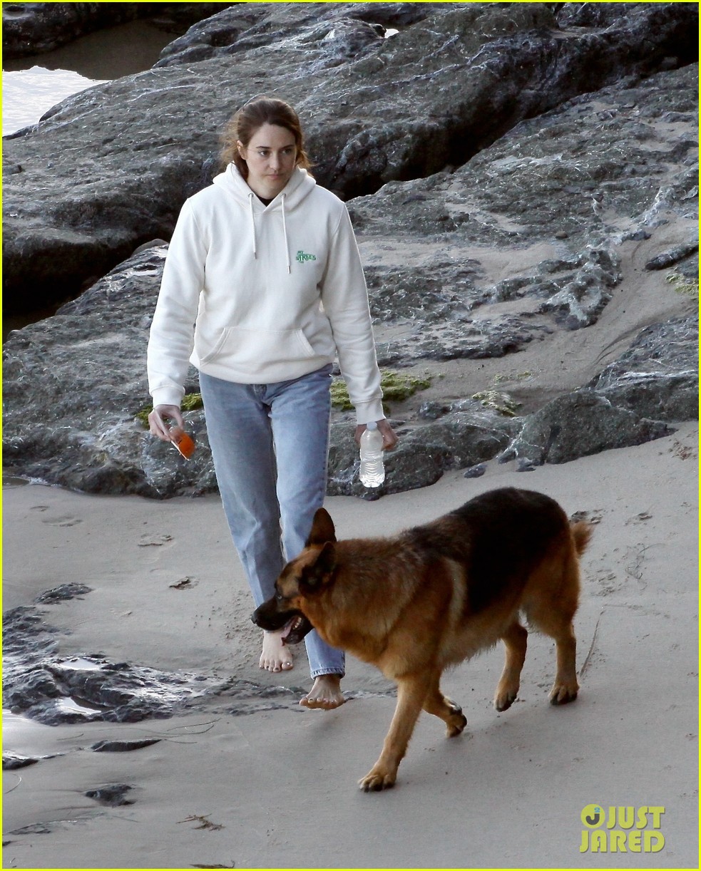 Shailene Woodley & Aaron Rodgers Cuddle Their Dog at the Beach in Cute