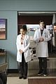 good doctor early renewal abc 02