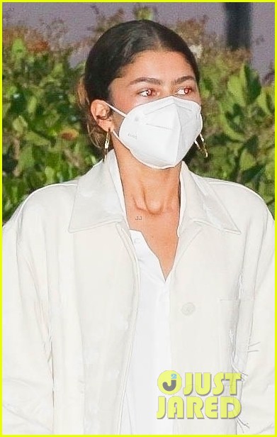 Photo: zendaya male friend dinner out together 05 | Photo 4577520
