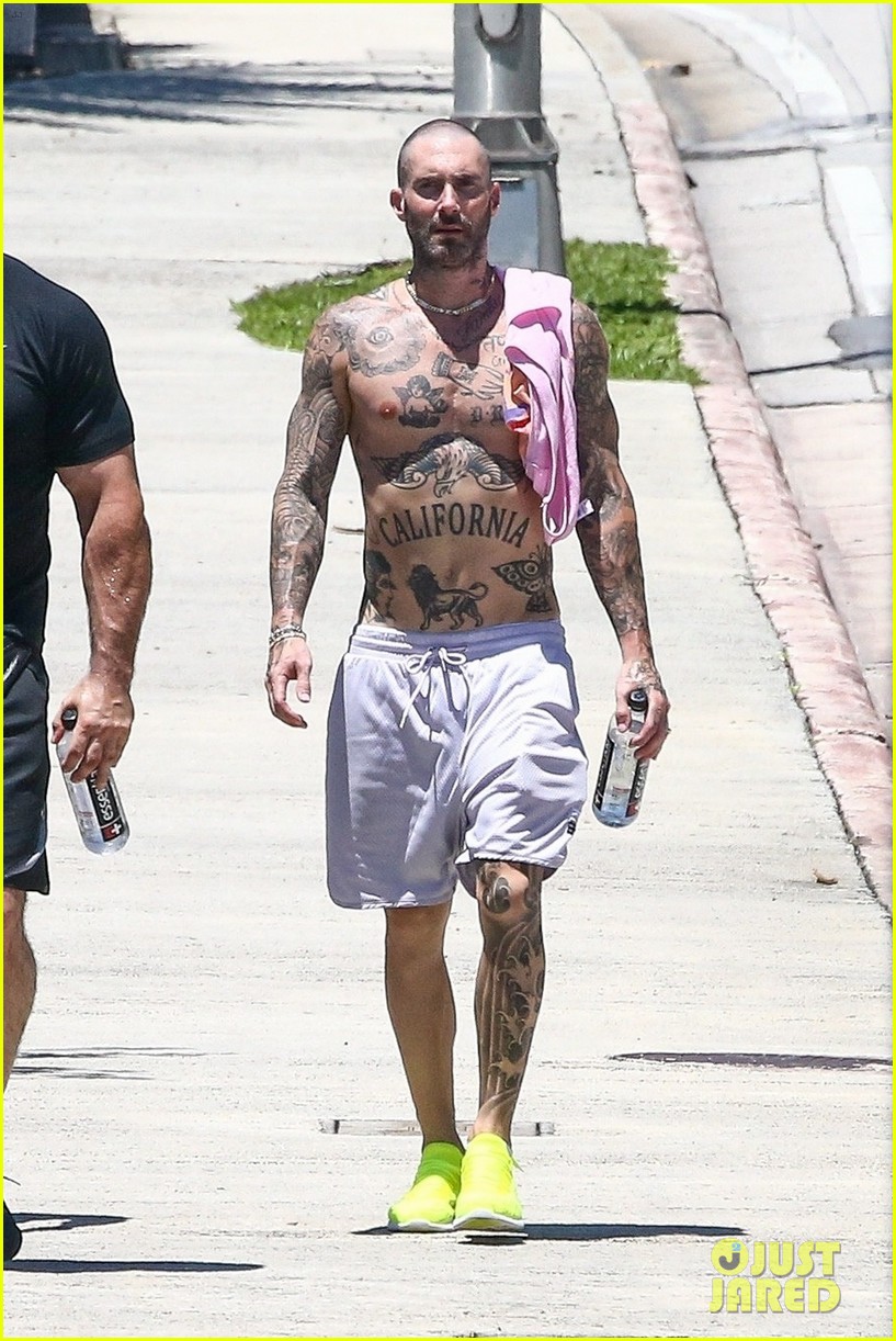 The Four Body Types, Fellow One Research - Celebrity Adam Levine Body Type One (BT1) Shape Figure