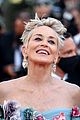 sharon stone cindy gown hana cross poppy delevingne cannes red carpet 11
