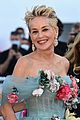 sharon stone cindy gown hana cross poppy delevingne cannes red carpet 17