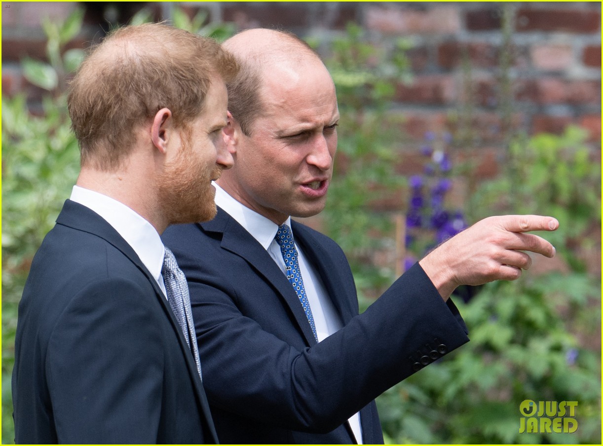 Prince Harry & Prince William Reunite at Princess Diana Statue