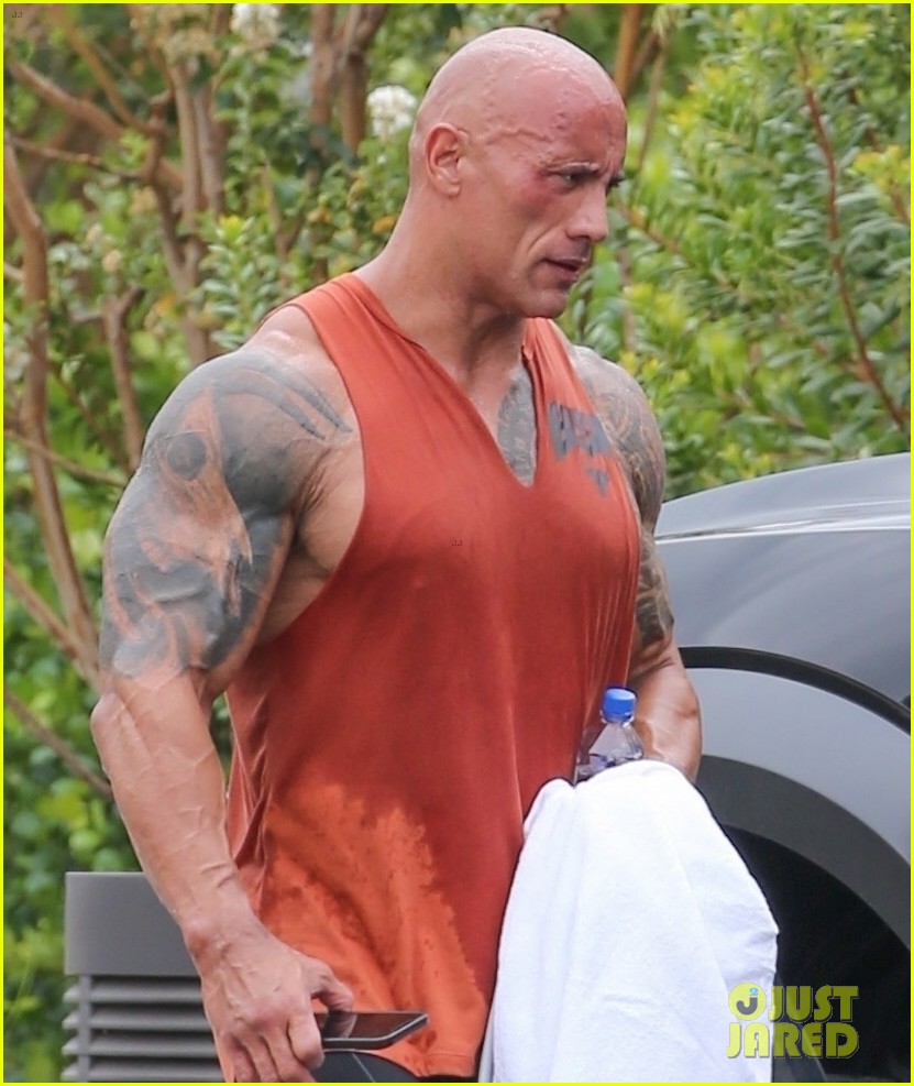 dwayne johnson drenched in sweat after workout 044608075