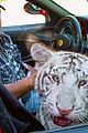 tiger king 2 release date november 05