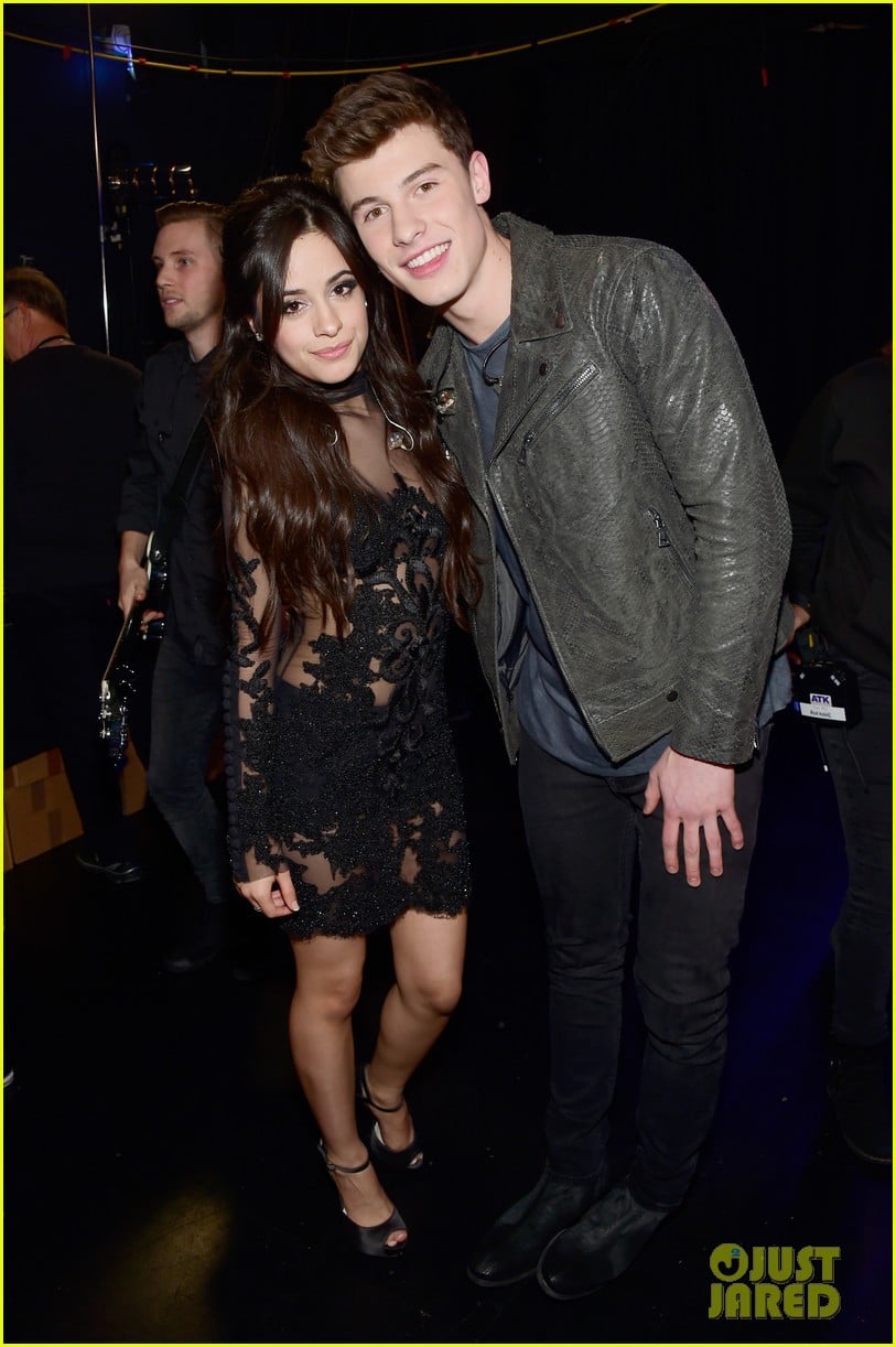 camila cabello on mental health relationship with shawn mendes 014639542