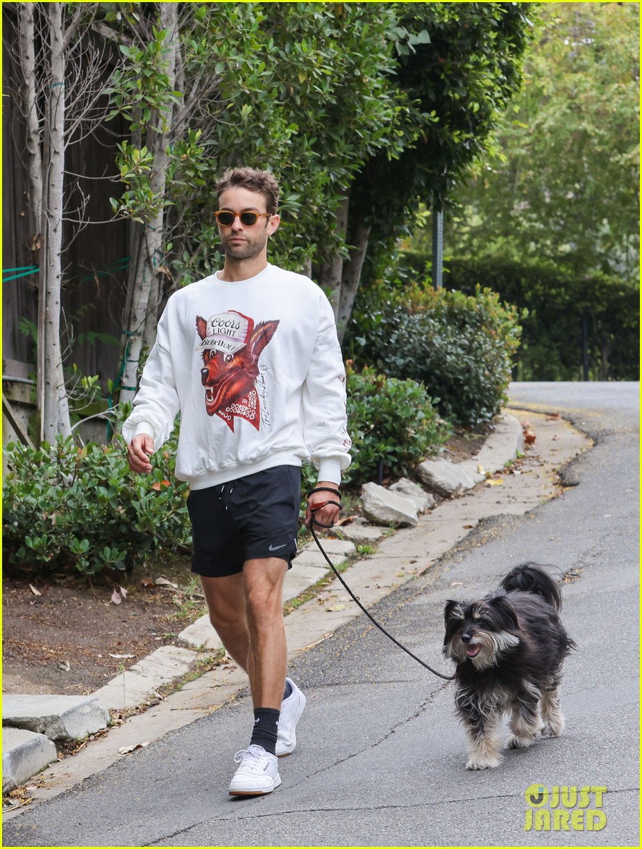 chace crawford morning walk with dog shiner 054643738
