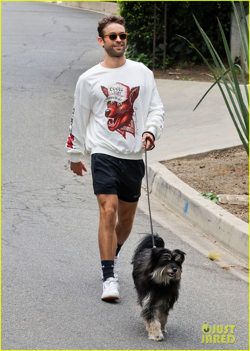 chace crawford morning walk with dog shiner 10
