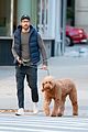 ryan reynolds talks his dog for a walk in nyc 12