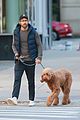 ryan reynolds talks his dog for a walk in nyc 14
