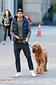 ryan reynolds talks his dog for a walk in nyc 16