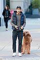ryan reynolds talks his dog for a walk in nyc 17