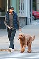 ryan reynolds talks his dog for a walk in nyc 18