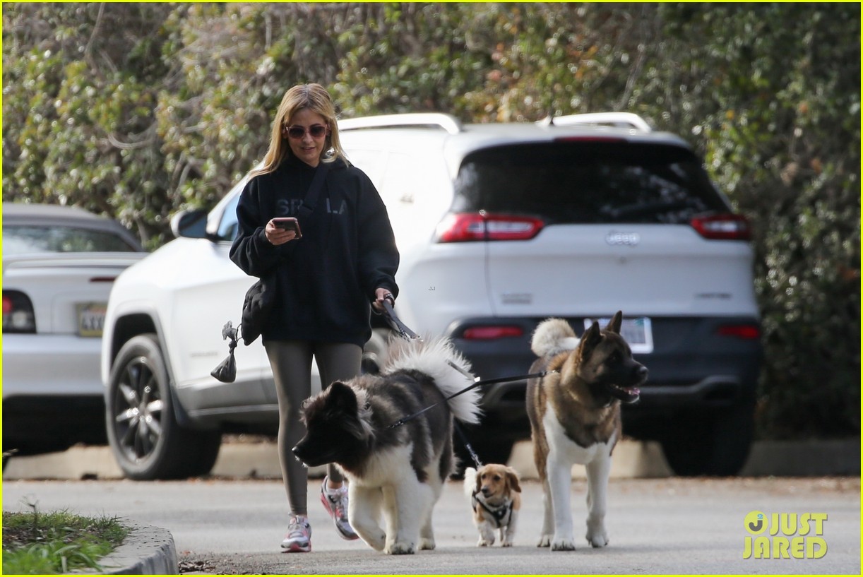 Photo: sarah michelle gellar takes her dogs for afternoon walk 13