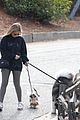 sarah michelle gellar takes her dogs for afternoon walk 03