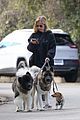 sarah michelle gellar takes her dogs for afternoon walk 04