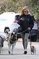sarah michelle gellar takes her dogs for afternoon walk 07