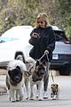 sarah michelle gellar takes her dogs for afternoon walk 08