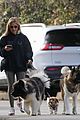 sarah michelle gellar takes her dogs for afternoon walk 13
