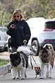 sarah michelle gellar takes her dogs for afternoon walk 16