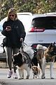 sarah michelle gellar takes her dogs for afternoon walk 18