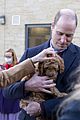 kate middleton prince william meet cocapoo puppy 04