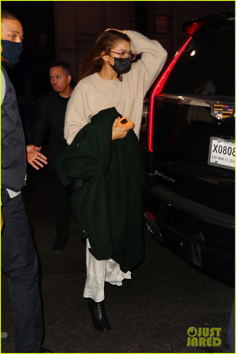 Tom Holland & Zendaya Spotted at NY Rangers Game with Friend Hunter