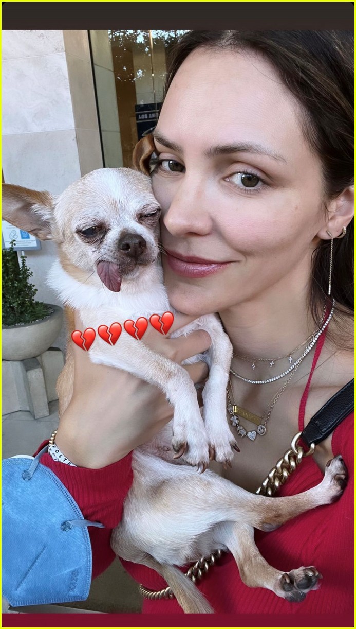 Katharine McPhee Mourns the Death of Her Rescue Dog Wilma Photo