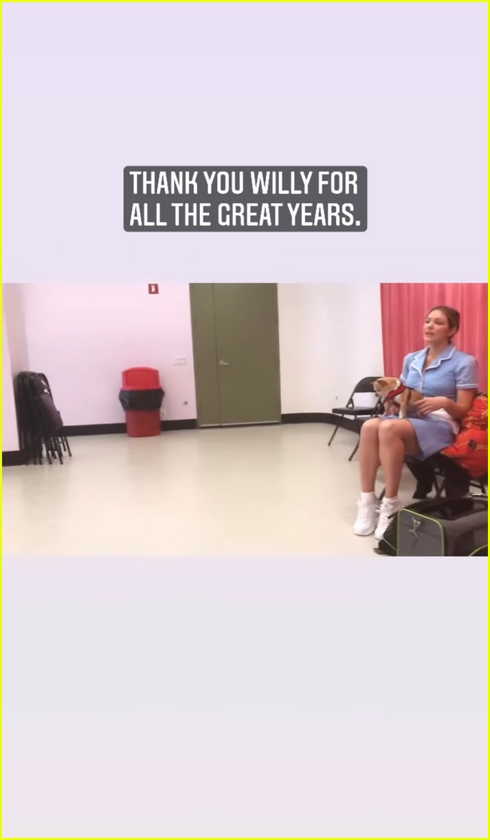 Katharine McPhee Mourns the Death of Her Rescue Dog Wilma Photo