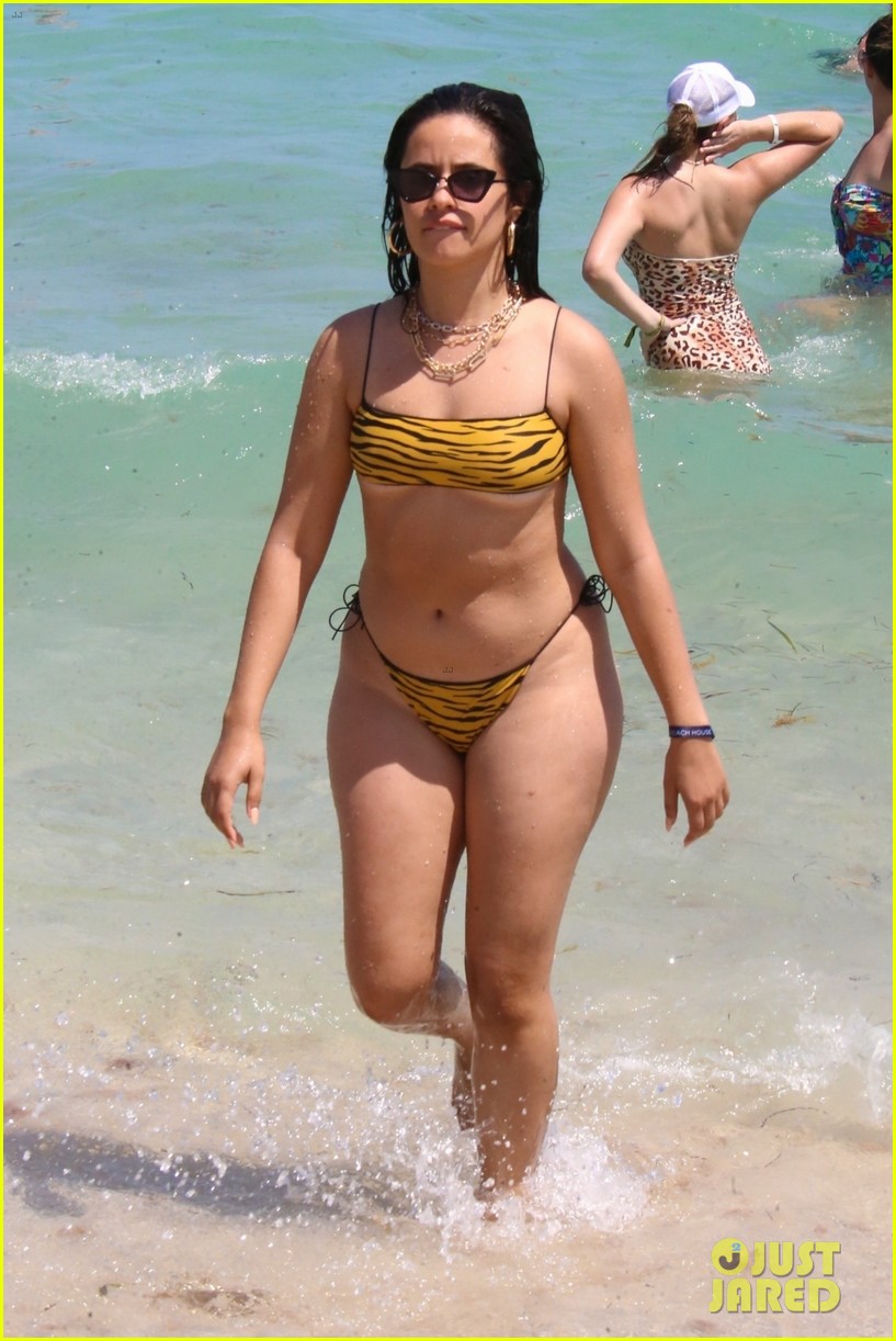 The Four Body Types, Fellow One Research - Celebrity Camila Cabello Body Type Two (BT2) Shape Figure