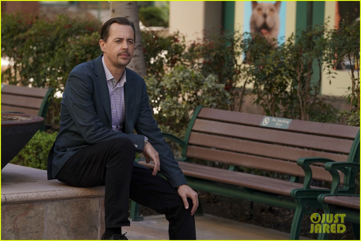 A Very Special Guest Star Will Appear on 'NCIS' Tonight! Photo 4748446