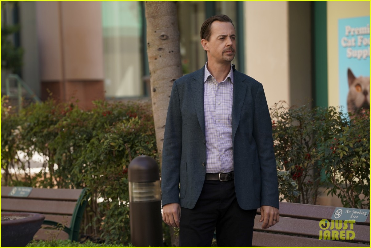 A Very Special Guest Star Will Appear on 'NCIS' Tonight! Photo 4748472