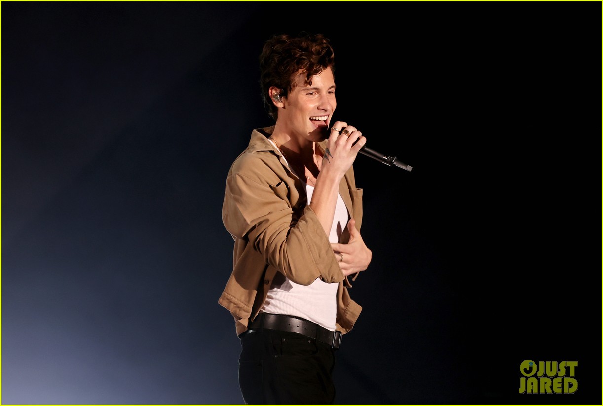 Shawn Mendes Reassures Fans After Admitting He Feels 'Overwhelmed